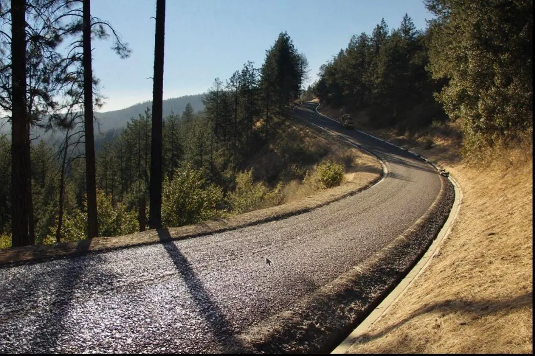 A newly built crushed-gravel driveway with a crowned surface and drainage ditches, curving up through pines.