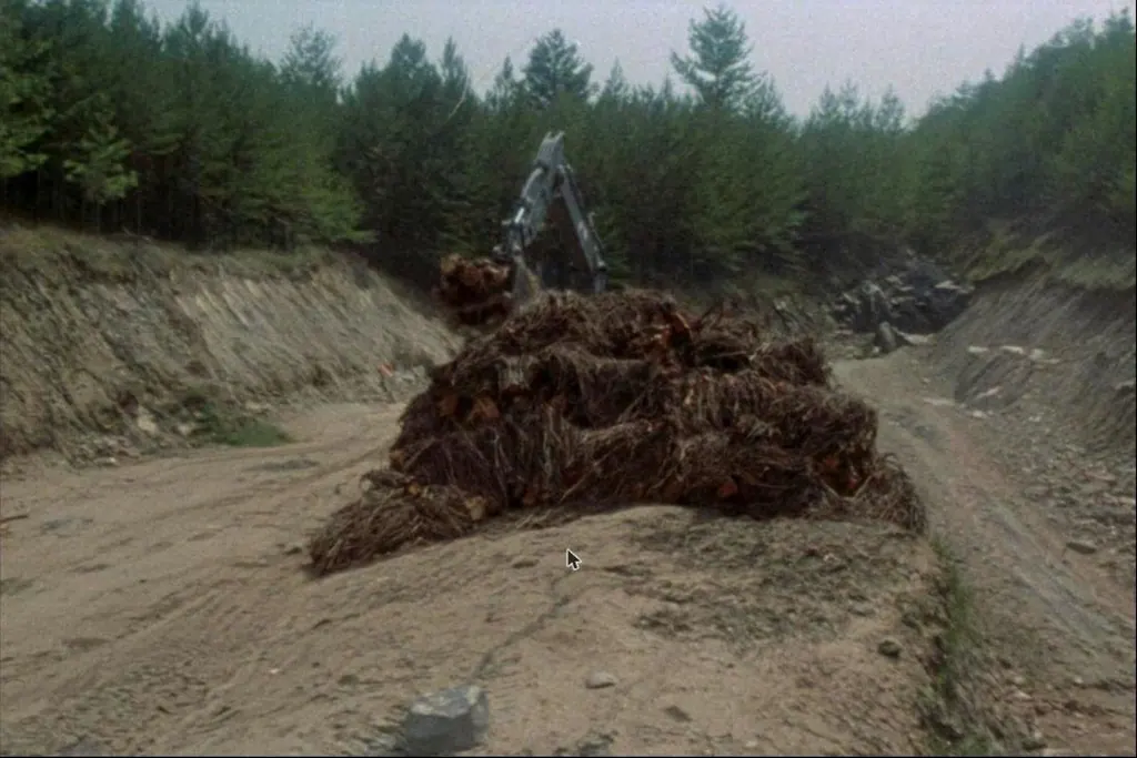 An excavator clearing brush and stumps, with half the lot still wooded and half opened to bare soil.