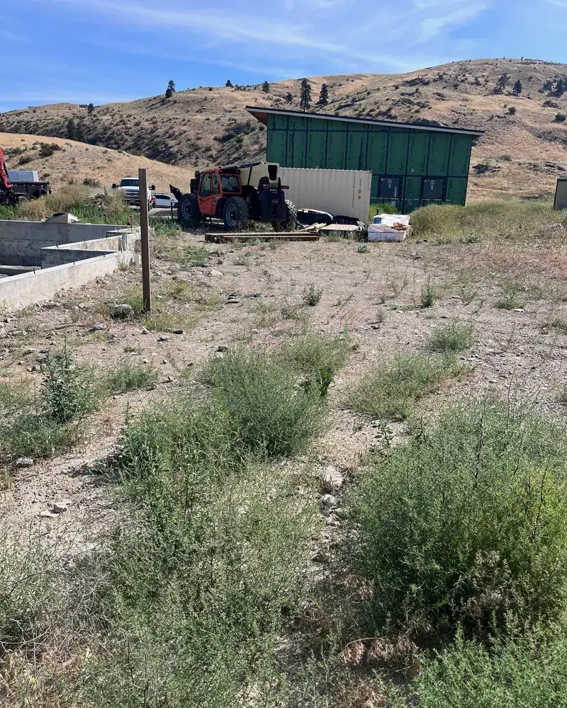 Weedy lot with the telehandler and green sheathed building behind, survey stake standing in the rough ground