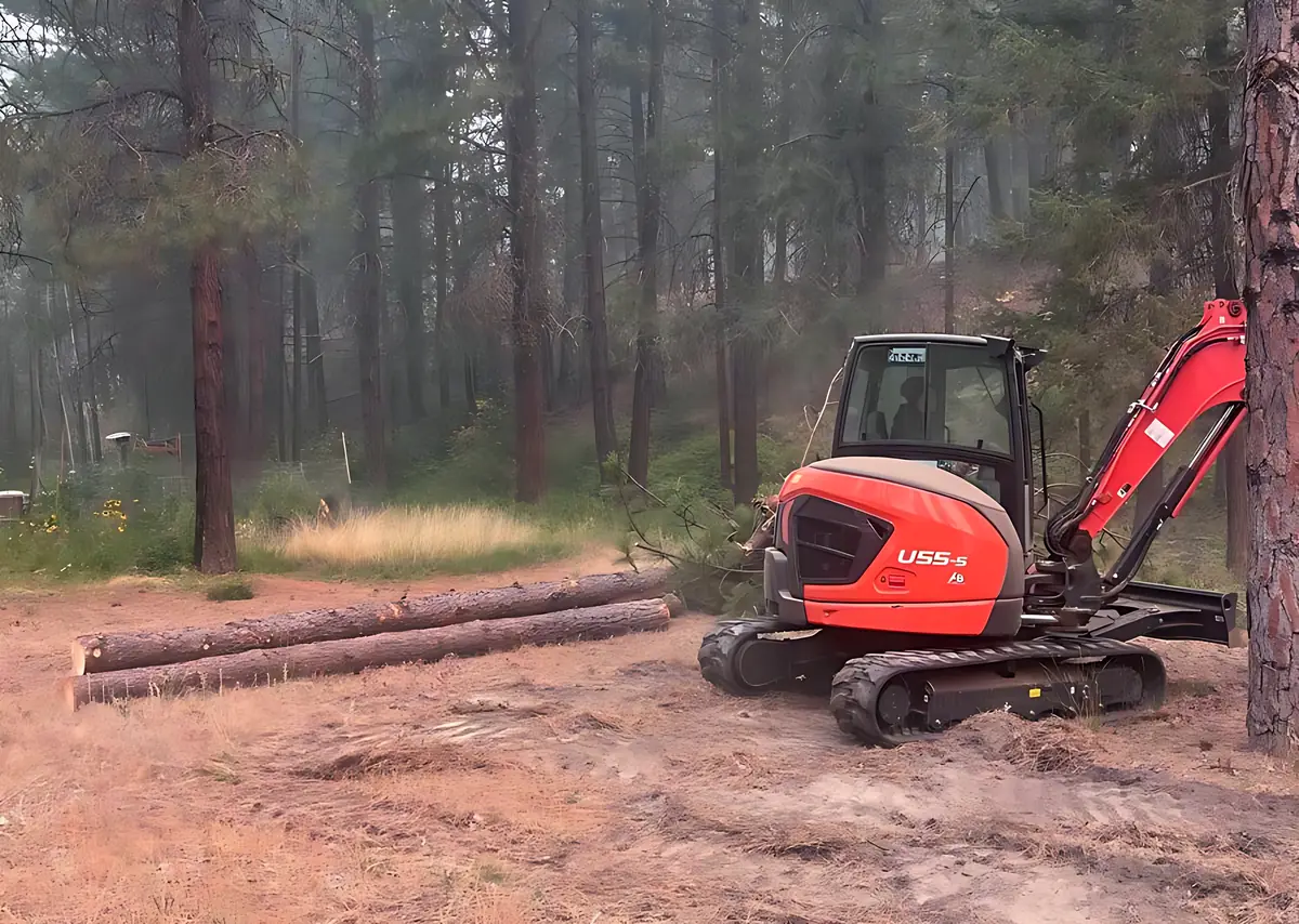 Backcountry Excavation’s Kubota U55-5 on a cleared forest lot